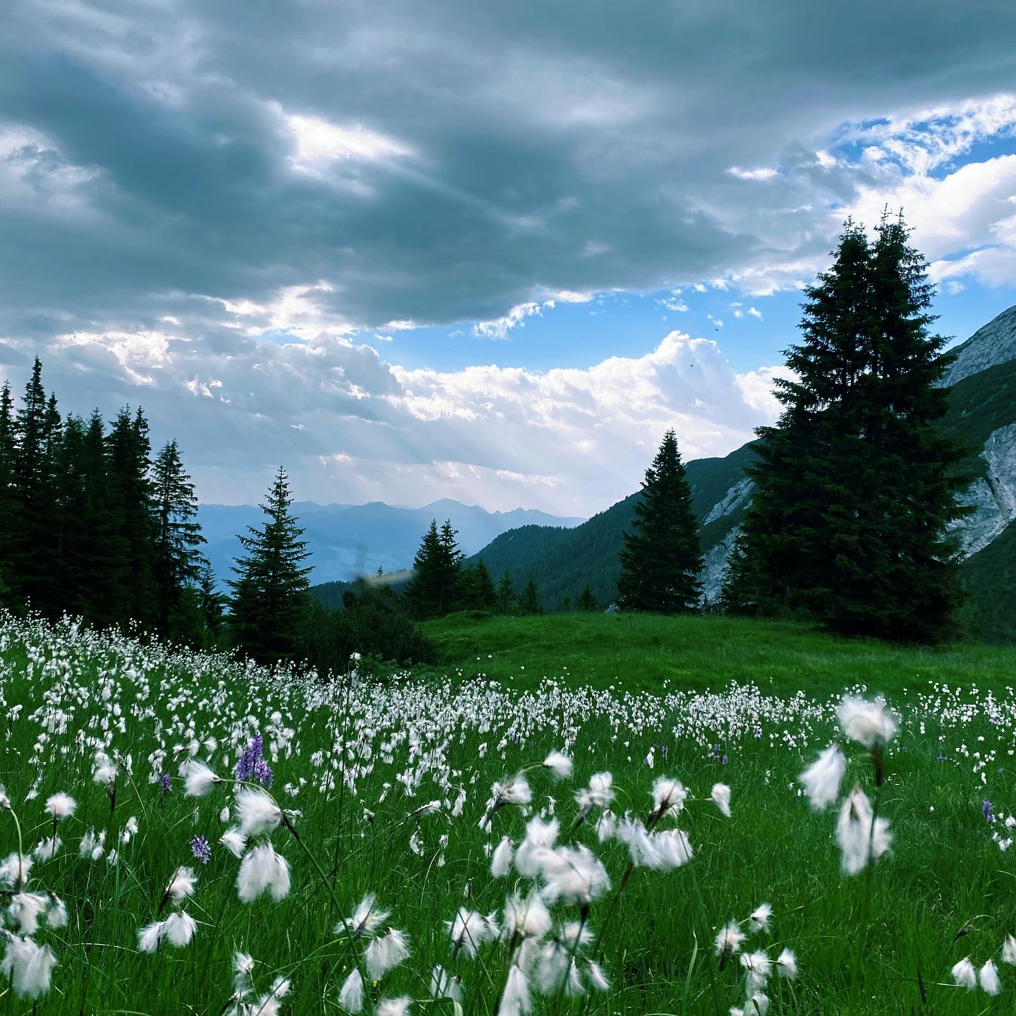 Manchmal braucht man nur die Natur, um den Kopf freizubekommen und die Seele baumeln zu lassen. 😮‍💨

Ein Schritt nach dem anderen durch die schönsten Landschaften Tirols. Unser Tipp: Eine Rundwanderung auf die Weissenbachalm bis zum Bärenkopf. 🏞️

#alpenperlenamachensee #weissenbachalm #bärenkopf #tipp #wandern #urlaubintirol
