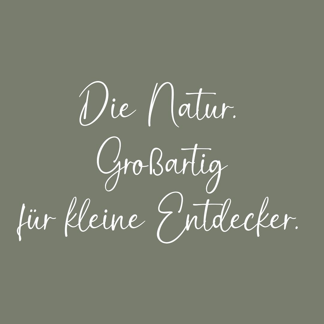 Auf der Suche nach dem perfekten Winterurlaub mit der Familie? ❄️⛄️ 

Willkommen bei uns am Achensee! Egal, ob Skifahren, Rodeln oder gemütliche Winterwanderungen in den malerischen Bergen – in unseren familienfreundlichen Ferienwohnungen ist für jeden etwas dabei. 👧🏼

Packt die Schneekleidung ein und freut euch auf unvergessliche Momente im Winterparadies. 🧣

#winterurlaub #familienurlaub …