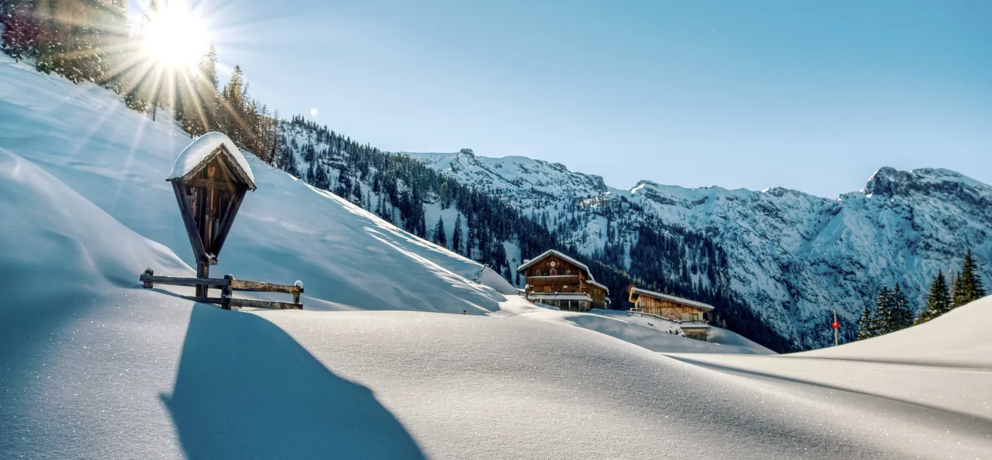 Bärenbadalm Achensee Tirol Österreich