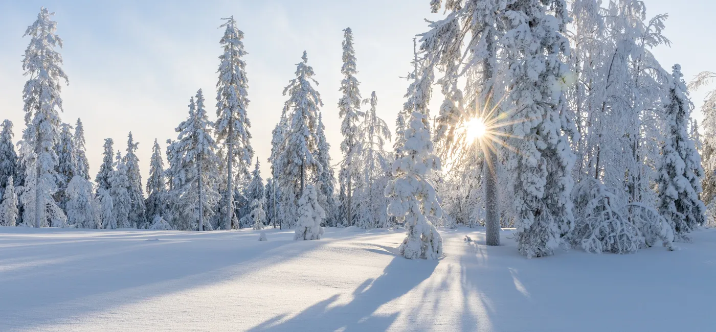 Winterlandschaft mit Sonne - Traumtag in Tirol