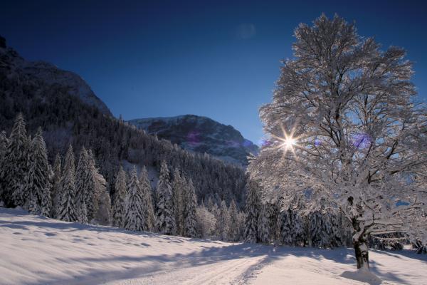 Winter Landschaft Sonne Schnee
