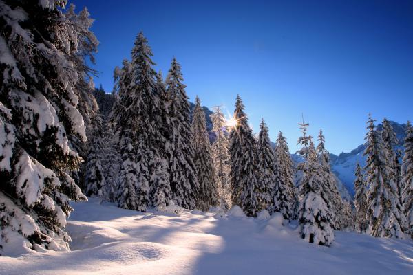 Winterlandschaft Naturpark Karwendel bei Pertisau am Achensee