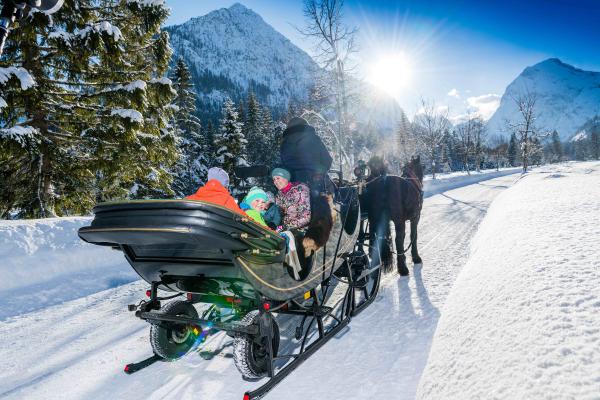 Pferdekutschen Winter Karwendel