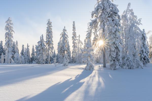 Winterlandschaft mit Sonne - Traumtag in Tirol