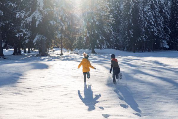 Kinder Schnee Wald Sonne