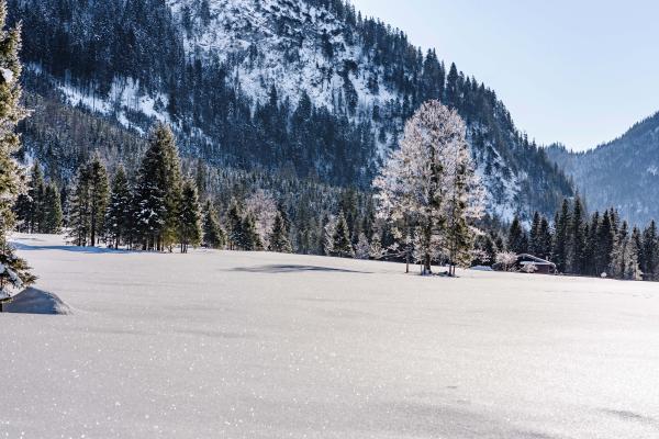 Winter Steinberg am Rofan