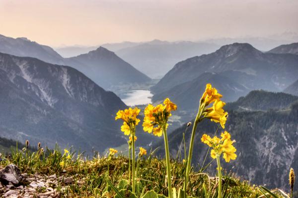 Blume Berge See